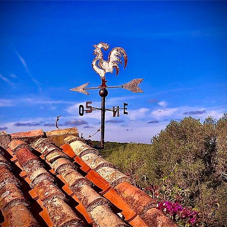 Spartaco Eco Retreat San Pantaleo Sole Ruiu Экстерьер фото