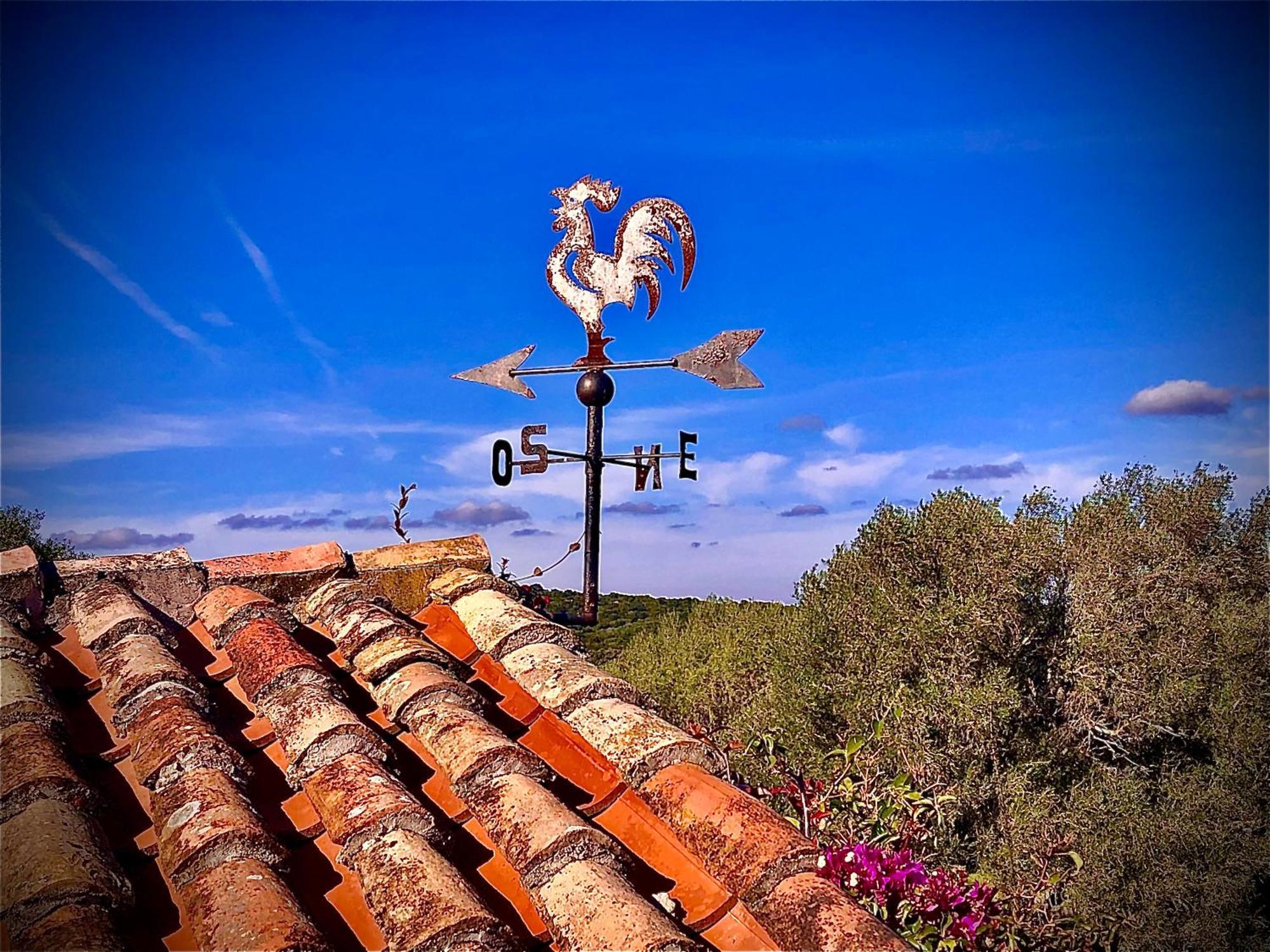 Spartaco Eco Retreat San Pantaleo Sole Ruiu Экстерьер фото