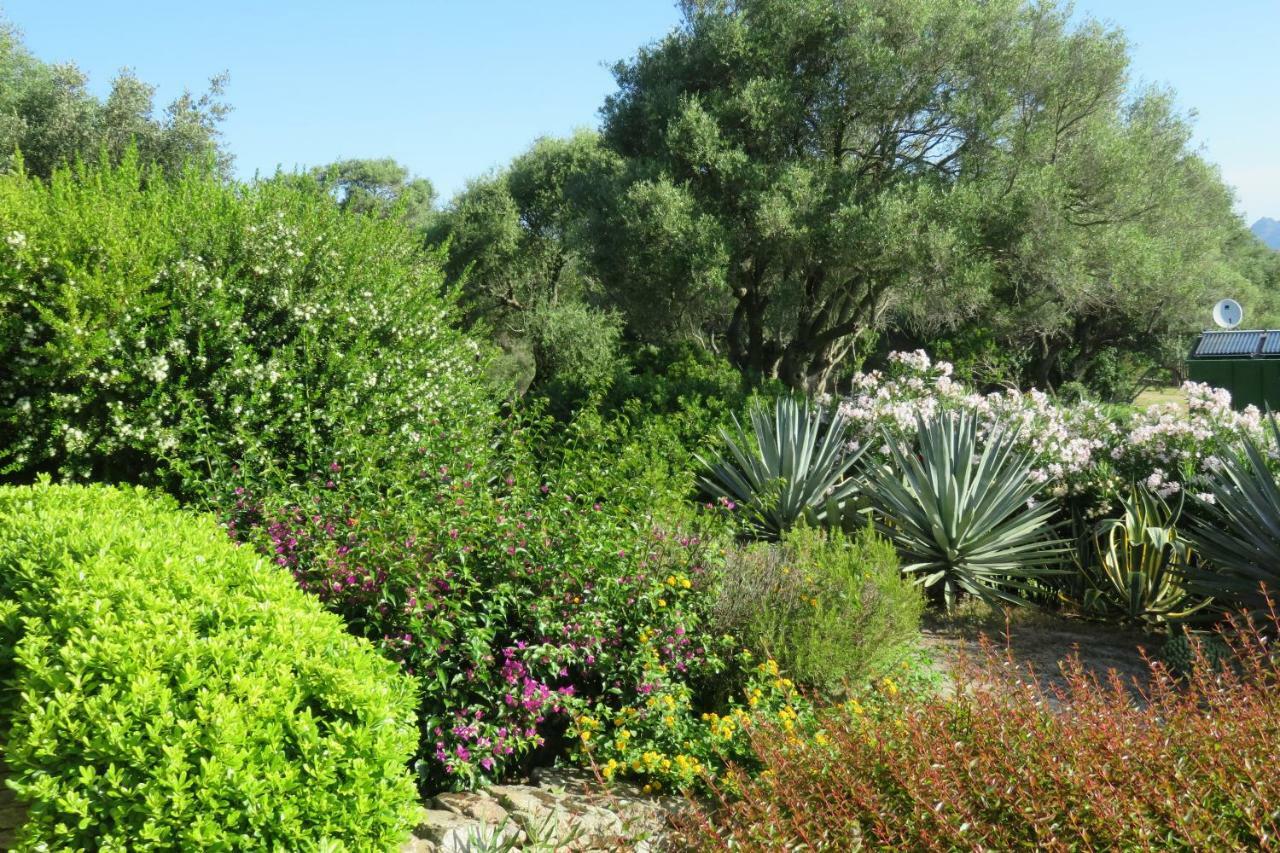 Spartaco Eco Retreat San Pantaleo Sole Ruiu Экстерьер фото