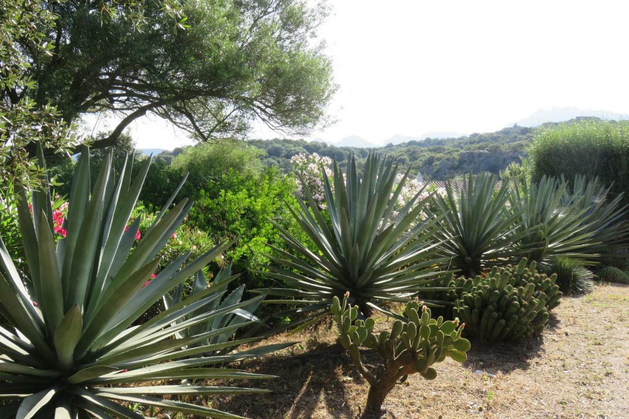 Spartaco Eco Retreat San Pantaleo Sole Ruiu Экстерьер фото